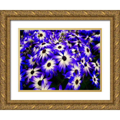 Flower 70 Gold Ornate Wood Framed Art Print with Double Matting by Lee, Rachel