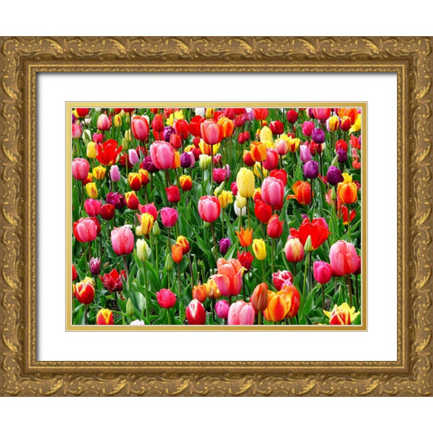 Flower 73 Gold Ornate Wood Framed Art Print with Double Matting by Lee, Rachel