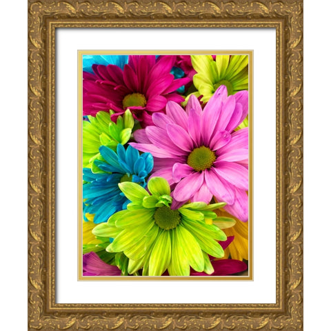 Flower 74 Gold Ornate Wood Framed Art Print with Double Matting by Lee, Rachel