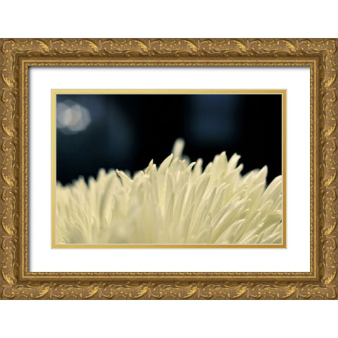 Flower 8 Gold Ornate Wood Framed Art Print with Double Matting by Lee, Rachel