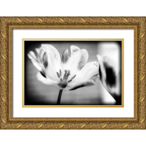 Flower Pink BW Holga Gold Ornate Wood Framed Art Print with Double Matting by Lee, Rachel