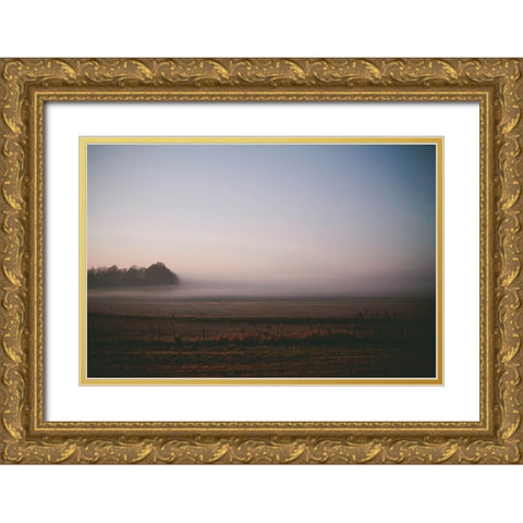 Foggy Field Gold Ornate Wood Framed Art Print with Double Matting by Lee, Rachel