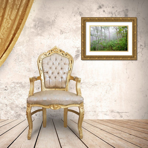 Foggy Forest Gold Ornate Wood Framed Art Print with Double Matting by Lee, Rachel