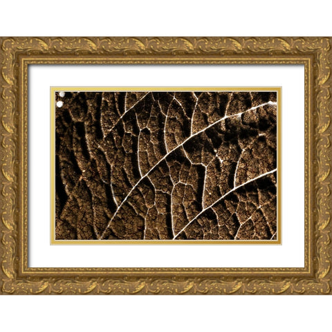 Foliage Textured 3 Gold Ornate Wood Framed Art Print with Double Matting by Lee, Rachel