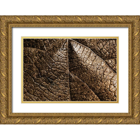 Foliage Textured 5 Gold Ornate Wood Framed Art Print with Double Matting by Lee, Rachel