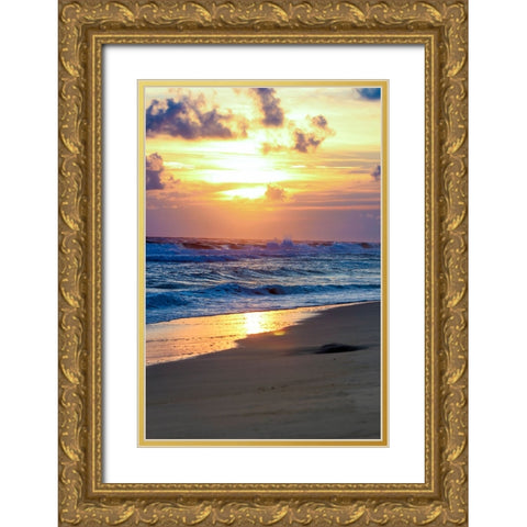 Gulf Shores 1 Gold Ornate Wood Framed Art Print with Double Matting by Lee, Rachel