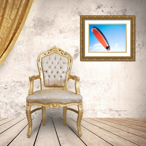 Hang Gliding Gold Ornate Wood Framed Art Print with Double Matting by Lee, Rachel