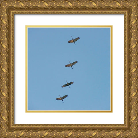 Hiwassee Refuge 4 Gold Ornate Wood Framed Art Print with Double Matting by Lee, Rachel