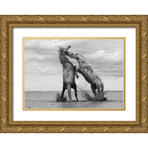 Horse 1 Gold Ornate Wood Framed Art Print with Double Matting by Lee, Rachel