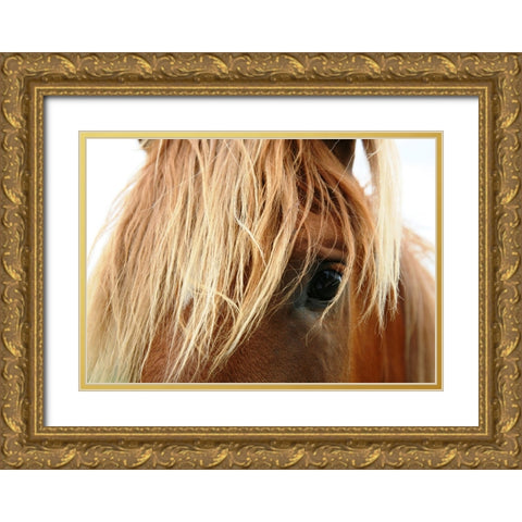Horse 5 Gold Ornate Wood Framed Art Print with Double Matting by Lee, Rachel