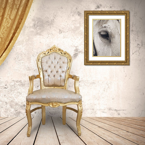 Horse 7 Gold Ornate Wood Framed Art Print with Double Matting by Lee, Rachel