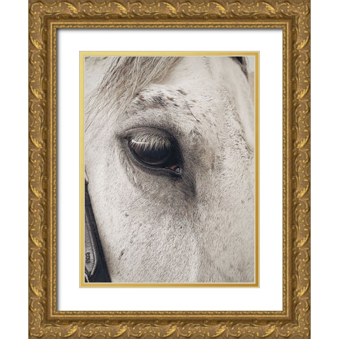 Horse 7 Gold Ornate Wood Framed Art Print with Double Matting by Lee, Rachel