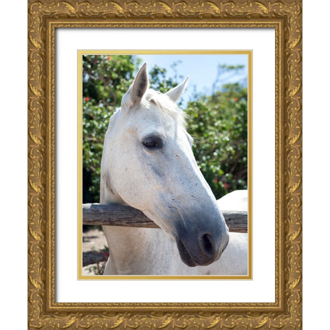 Horse 8 Gold Ornate Wood Framed Art Print with Double Matting by Lee, Rachel