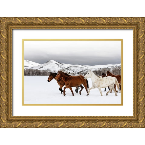 Horse 9 Gold Ornate Wood Framed Art Print with Double Matting by Lee, Rachel