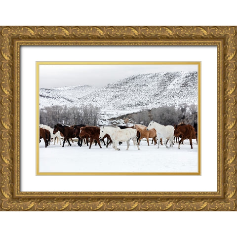 Horse 10 Gold Ornate Wood Framed Art Print with Double Matting by Lee, Rachel