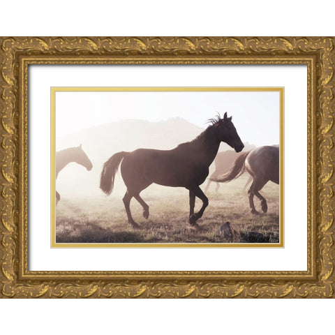 Horse 11 Gold Ornate Wood Framed Art Print with Double Matting by Lee, Rachel