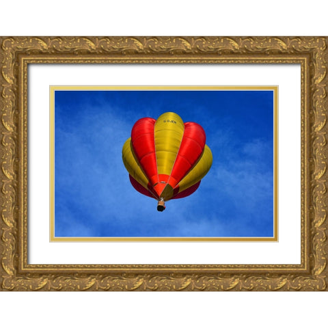 Hot Air Balloon 1 Gold Ornate Wood Framed Art Print with Double Matting by Lee, Rachel