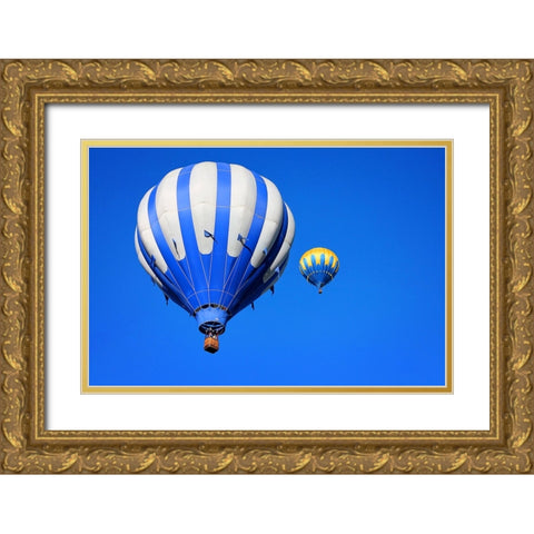 Hot Air Balloon 2 Gold Ornate Wood Framed Art Print with Double Matting by Lee, Rachel
