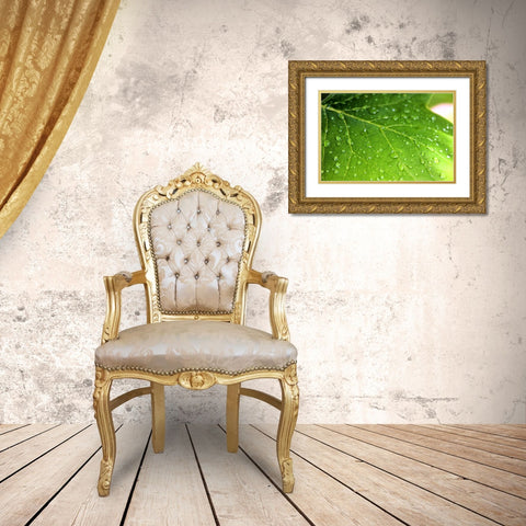 Leaves 1 Gold Ornate Wood Framed Art Print with Double Matting by Lee, Rachel