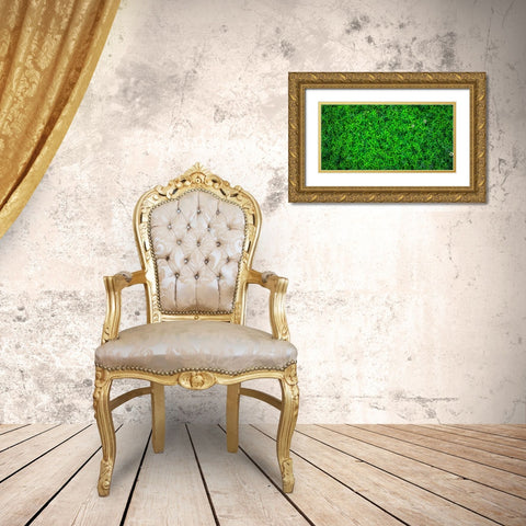 Leaves 10 Gold Ornate Wood Framed Art Print with Double Matting by Lee, Rachel