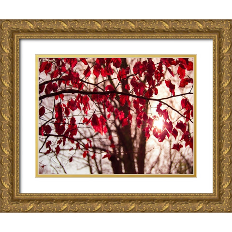 Leaves 11 Gold Ornate Wood Framed Art Print with Double Matting by Lee, Rachel