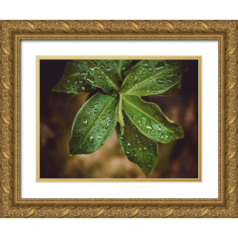 Leaves 12 Gold Ornate Wood Framed Art Print with Double Matting by Lee, Rachel