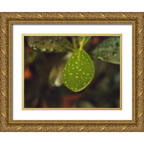 Leaves 13 Gold Ornate Wood Framed Art Print with Double Matting by Lee, Rachel