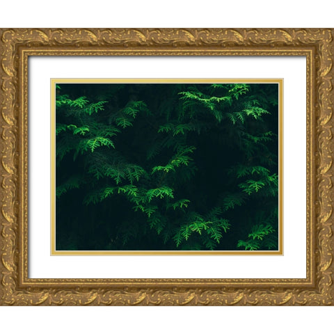 Leaves 16 Gold Ornate Wood Framed Art Print with Double Matting by Lee, Rachel