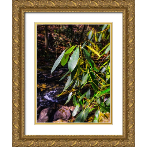 Leaves 18 Gold Ornate Wood Framed Art Print with Double Matting by Lee, Rachel