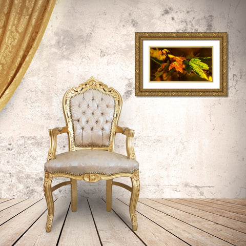 Leaves 21 Gold Ornate Wood Framed Art Print with Double Matting by Lee, Rachel