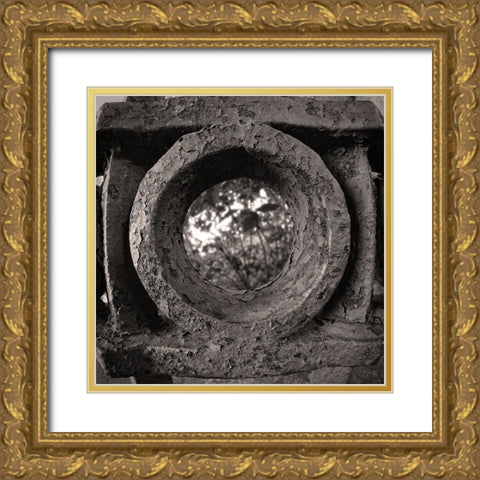 Lookout Iron BW Gold Ornate Wood Framed Art Print with Double Matting by Lee, Rachel