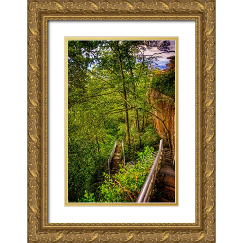 Lookout Trail Stairs Gold Ornate Wood Framed Art Print with Double Matting by Lee, Rachel