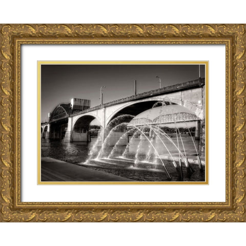 Market And Cannons Sepia Gold Ornate Wood Framed Art Print with Double Matting by Lee, Rachel