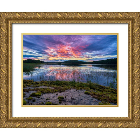 Mountain Lake 10 Gold Ornate Wood Framed Art Print with Double Matting by Lee, Rachel