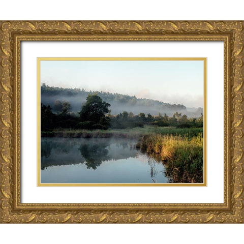 Mountain Lake 17 Gold Ornate Wood Framed Art Print with Double Matting by Lee, Rachel