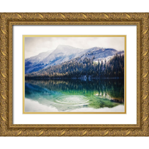 Mountain Lake 28 Gold Ornate Wood Framed Art Print with Double Matting by Lee, Rachel