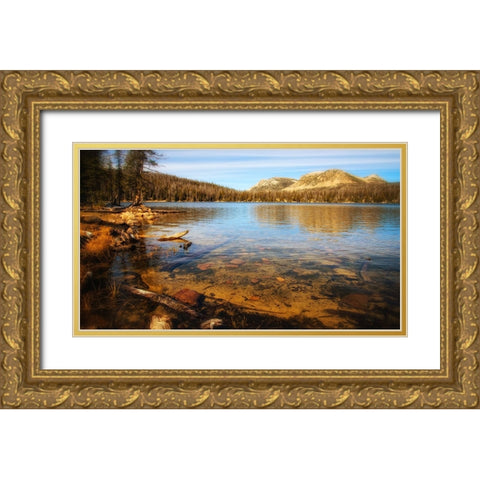 Mountain Lake 4 Gold Ornate Wood Framed Art Print with Double Matting by Lee, Rachel