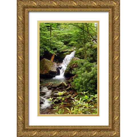 Mountain Laurel and Falls Gold Ornate Wood Framed Art Print with Double Matting by Lee, Rachel