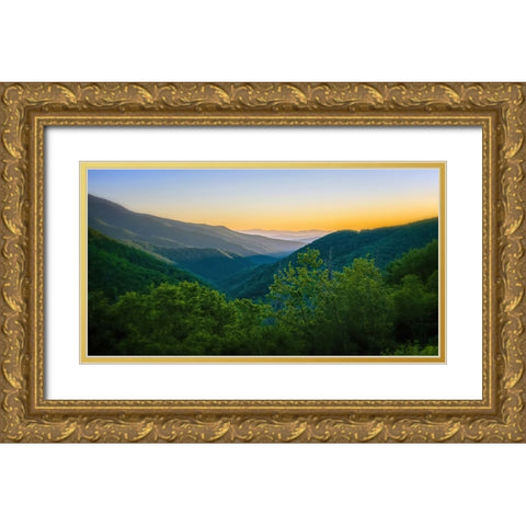 Mountain View 16 Gold Ornate Wood Framed Art Print with Double Matting by Lee, Rachel