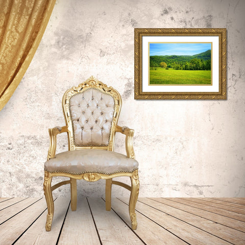 Mountain View 25 Gold Ornate Wood Framed Art Print with Double Matting by Lee, Rachel