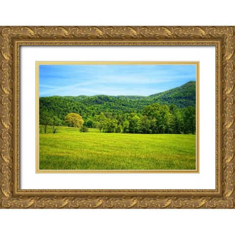 Mountain View 25 Gold Ornate Wood Framed Art Print with Double Matting by Lee, Rachel