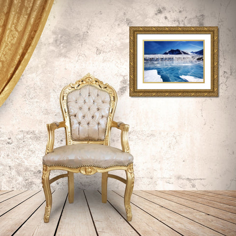Mountain View 26 Gold Ornate Wood Framed Art Print with Double Matting by Lee, Rachel