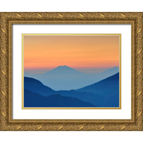 Mountain View 29 Gold Ornate Wood Framed Art Print with Double Matting by Lee, Rachel