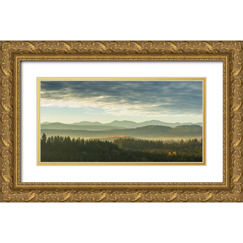 Mountain View 31 Gold Ornate Wood Framed Art Print with Double Matting by Lee, Rachel