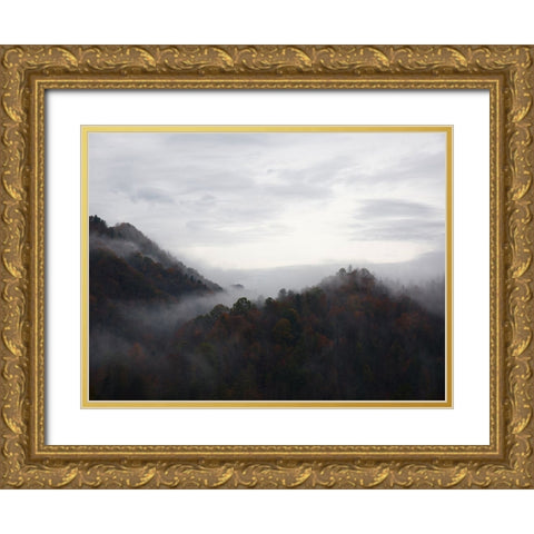Mountain View 32 Gold Ornate Wood Framed Art Print with Double Matting by Lee, Rachel
