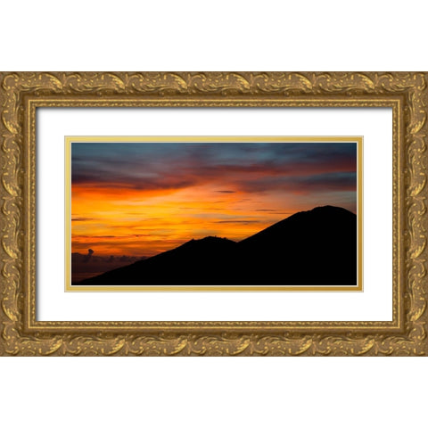 Mountain View 37 Gold Ornate Wood Framed Art Print with Double Matting by Lee, Rachel