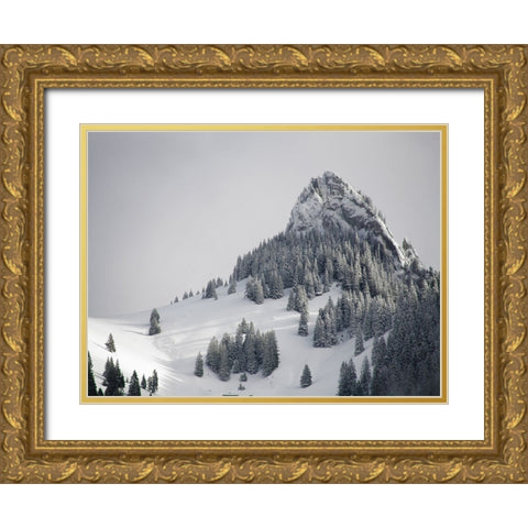 Mountain View 38 Gold Ornate Wood Framed Art Print with Double Matting by Lee, Rachel