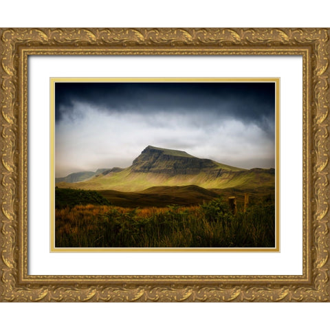 Mountain View 40 Gold Ornate Wood Framed Art Print with Double Matting by Lee, Rachel