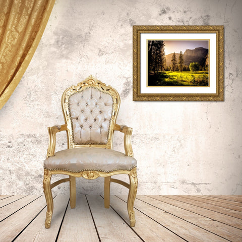Mountain View 42 Gold Ornate Wood Framed Art Print with Double Matting by Lee, Rachel