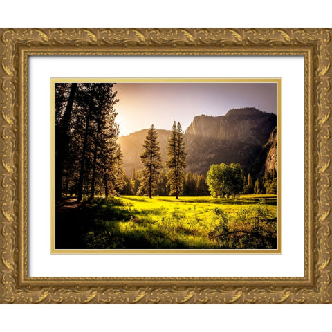 Mountain View 42 Gold Ornate Wood Framed Art Print with Double Matting by Lee, Rachel